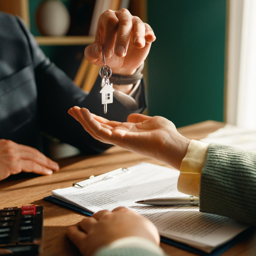 tenant-placement-hamilton